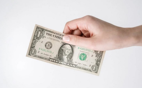 Экономист Ракша объяснил рост курса доллара высокой инфляцией