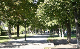 В Саратове нашли средства на озеленение парка и сквера в Заводском районе