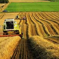 Аграрии Саратовской области уже начали подготовку к сбору урожая
