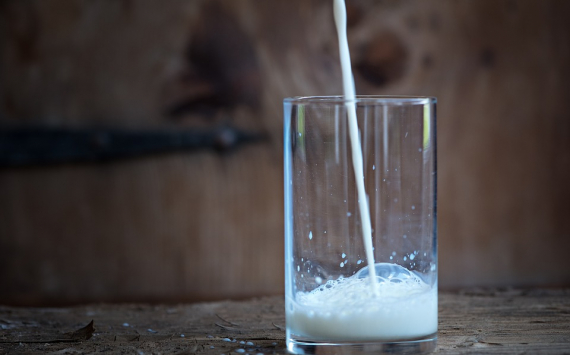 В Саратовской области производство молока выросло на 2,1%