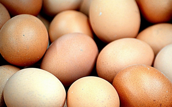 Власти Саратовской области отреагировали на слухи о росте цен на яйца
