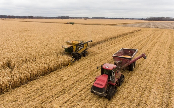 В 2020 году Саратовская область экспортровала зерна почти на $400 млн