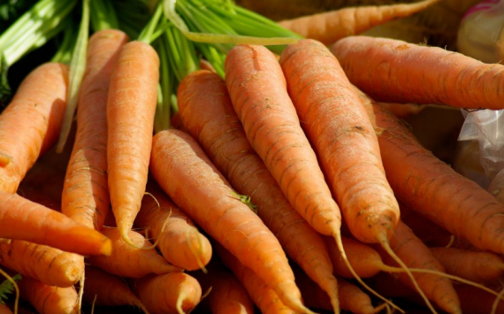 В Саратовской области морковь за три недели подорожала на 18 рублей