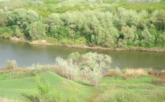 В Саратовской области 60 млн рублей направят на расчистку реки Хопер