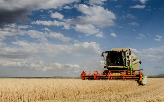 Саратовской области выделят 130 млн рублей на выплаты аграриям