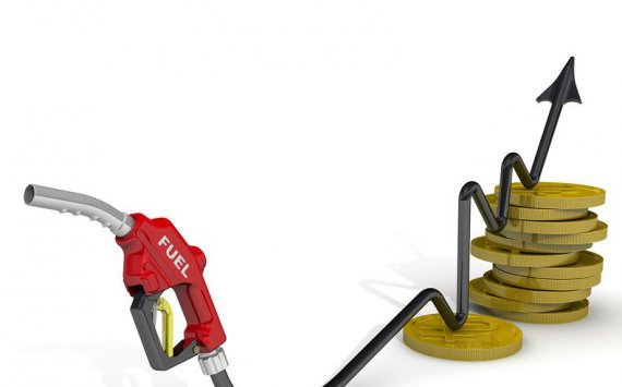 Российские нефтяные компании нарушили договоренности и стоимость бензина продолжила расти