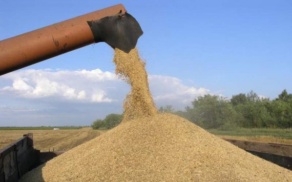 Саратовская область в 2018 году поставила на экспорт 1,7 млн тонн зерна